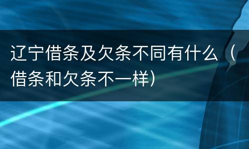 辽宁借条及欠条不同有什么（借条和欠条不一样）