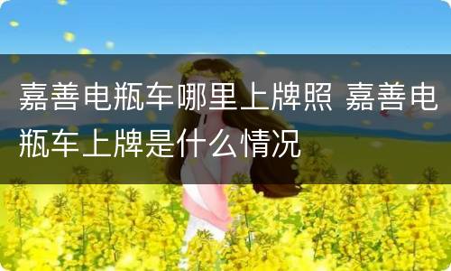 嘉善电瓶车哪里上牌照 嘉善电瓶车上牌是什么情况