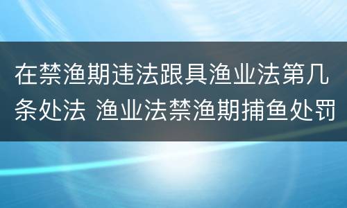 在禁渔期违法跟具渔业法第几条处法 渔业法禁渔期捕鱼处罚规定