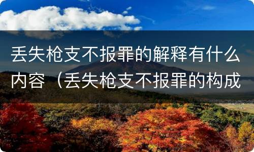 丢失枪支不报罪的解释有什么内容（丢失枪支不报罪的构成要件）