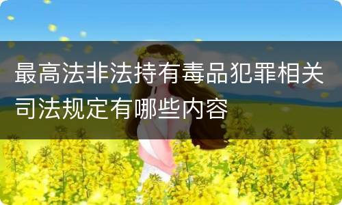最高法非法持有毒品犯罪相关司法规定有哪些内容