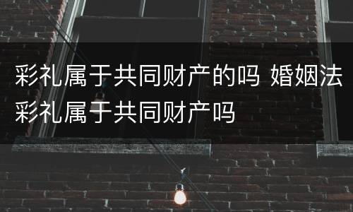 彩礼属于共同财产的吗 婚姻法彩礼属于共同财产吗