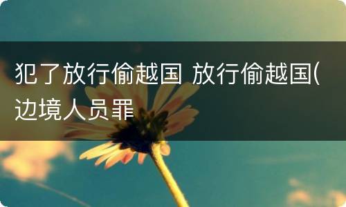 犯了放行偷越国 放行偷越国(边境人员罪