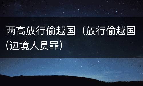 两高放行偷越国（放行偷越国(边境人员罪）
