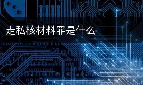 走私核材料罪是什么