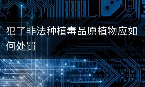 犯了非法种植毒品原植物应如何处罚