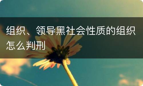组织、领导黑社会性质的组织怎么判刑