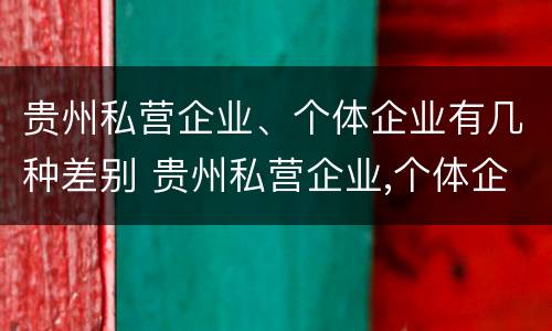 贵州私营企业、个体企业有几种差别 贵州私营企业,个体企业有几种差别