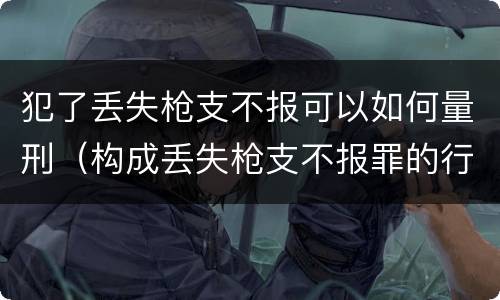 犯了丢失枪支不报可以如何量刑（构成丢失枪支不报罪的行为）