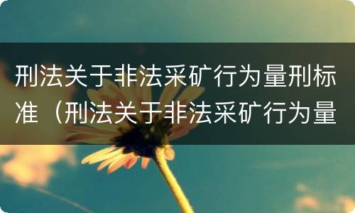 刑法关于非法采矿行为量刑标准（刑法关于非法采矿行为量刑标准的解释）