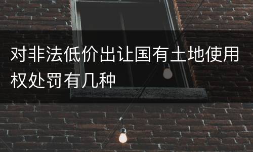 对非法低价出让国有土地使用权处罚有几种