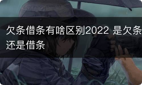 欠条借条有啥区别2022 是欠条还是借条