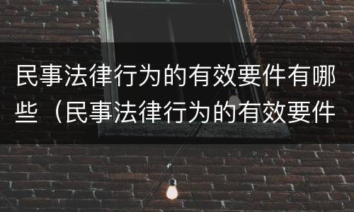 民事法律行为的有效要件有哪些（民事法律行为的有效要件有哪些内容）