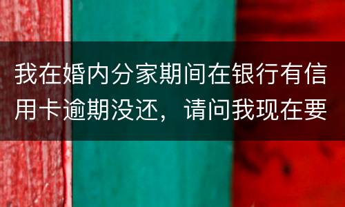 我在婚内分家期间在银行有信用卡逾期没还，请问我现在要离婚，老婆要承受债务吗