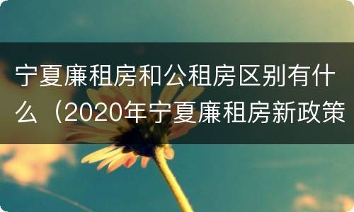 宁夏廉租房和公租房区别有什么（2020年宁夏廉租房新政策）
