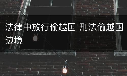 法律中放行偷越国 刑法偷越国边境