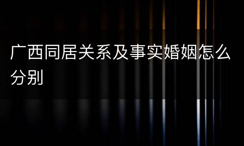 广西同居关系及事实婚姻怎么分别