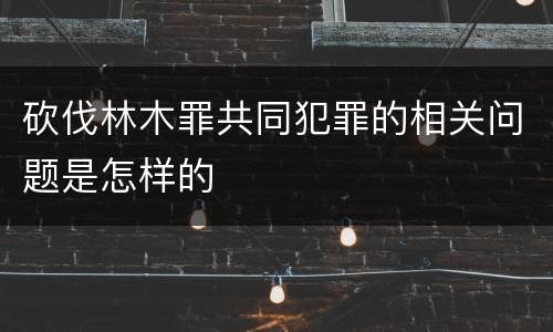 砍伐林木罪共同犯罪的相关问题是怎样的