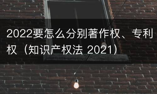 2022要怎么分别著作权、专利权（知识产权法 2021）