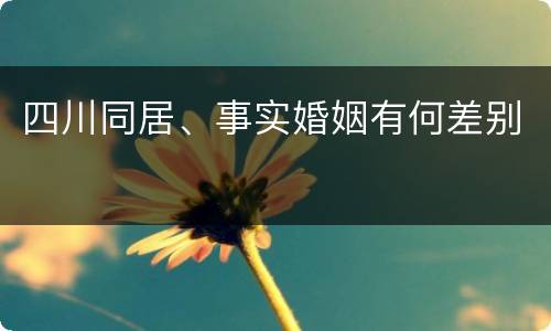 四川同居、事实婚姻有何差别