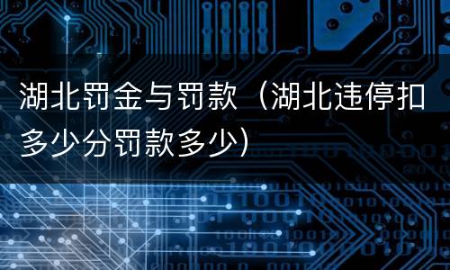 湖北罚金与罚款（湖北违停扣多少分罚款多少）