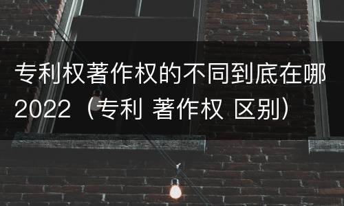 专利权著作权的不同到底在哪2022（专利 著作权 区别）