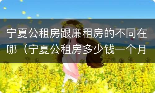 宁夏公租房跟廉租房的不同在哪（宁夏公租房多少钱一个月）