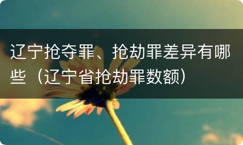 辽宁抢夺罪、抢劫罪差异有哪些（辽宁省抢劫罪数额）