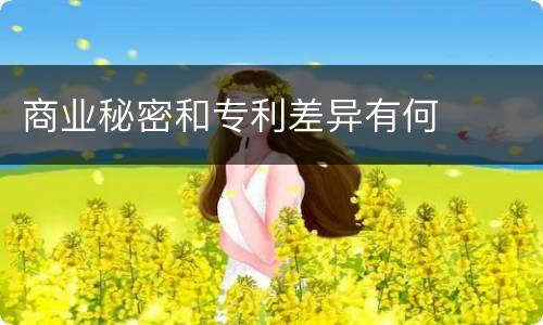 商业秘密和专利差异有何