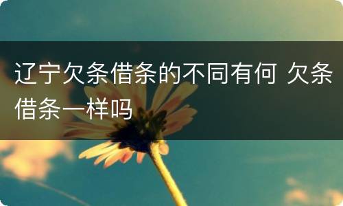 辽宁欠条借条的不同有何 欠条借条一样吗