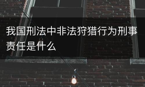 我国刑法中非法狩猎行为刑事责任是什么