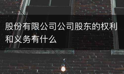 股份有限公司公司股东的权利和义务有什么