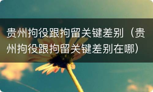 贵州拘役跟拘留关键差别（贵州拘役跟拘留关键差别在哪）