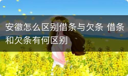 安徽怎么区别借条与欠条 借条和欠条有何区别