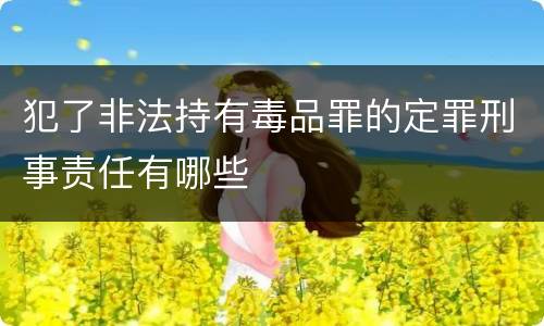 犯了非法持有毒品罪的定罪刑事责任有哪些