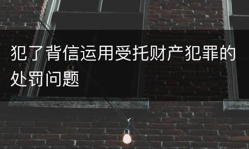 犯了背信运用受托财产犯罪的处罚问题