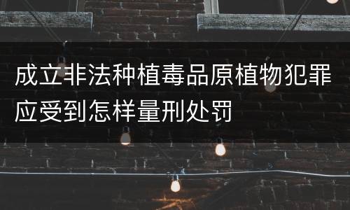 成立非法种植毒品原植物犯罪应受到怎样量刑处罚