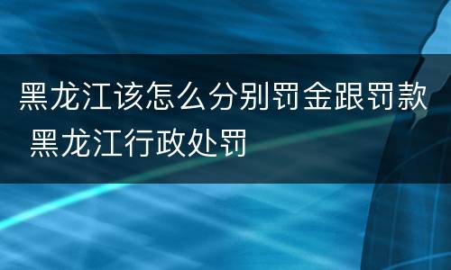 黑龙江该怎么分别罚金跟罚款 黑龙江行政处罚