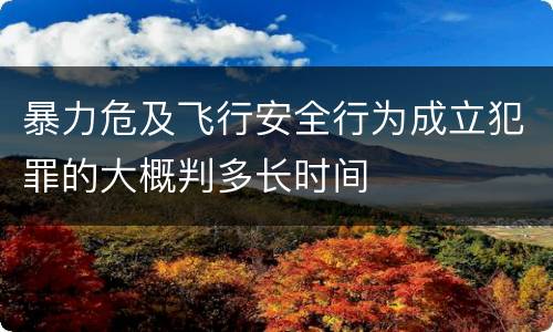暴力危及飞行安全行为成立犯罪的大概判多长时间