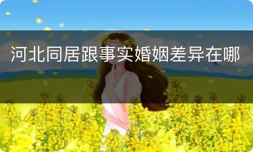 河北同居跟事实婚姻差异在哪