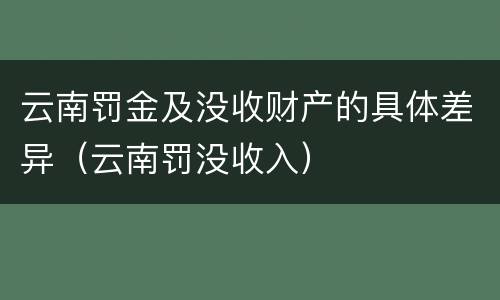 云南罚金及没收财产的具体差异（云南罚没收入）