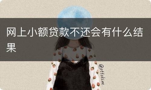 网上小额贷款不还会有什么结果