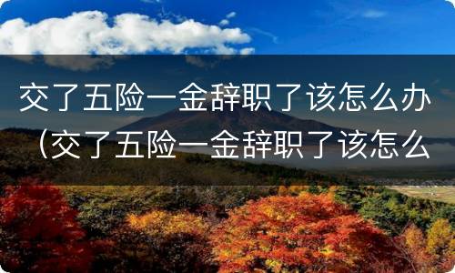交了五险一金辞职了该怎么办（交了五险一金辞职了该怎么办理）