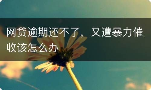 网贷逾期还不了，又遭暴力催收该怎么办