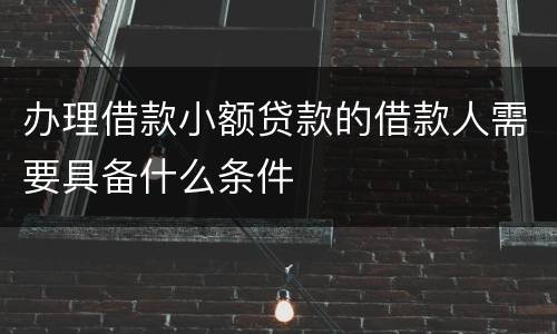 办理借款小额贷款的借款人需要具备什么条件