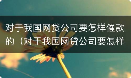 对于我国网贷公司要怎样催款的（对于我国网贷公司要怎样催款的看法）
