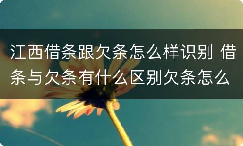 江西借条跟欠条怎么样识别 借条与欠条有什么区别欠条怎么写