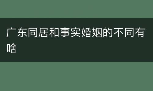 广东同居和事实婚姻的不同有啥