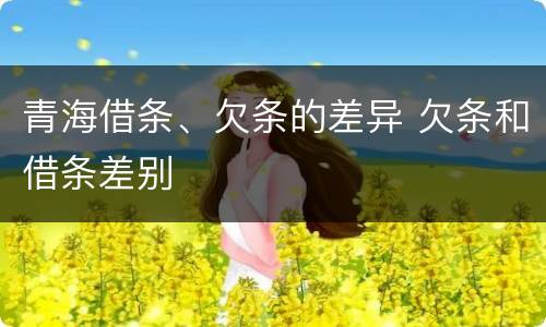 青海借条、欠条的差异 欠条和借条差别
