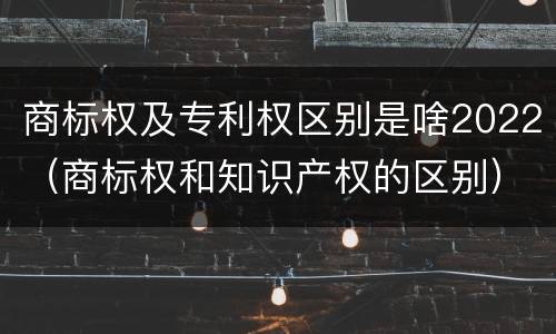 商标权及专利权区别是啥2022（商标权和知识产权的区别）